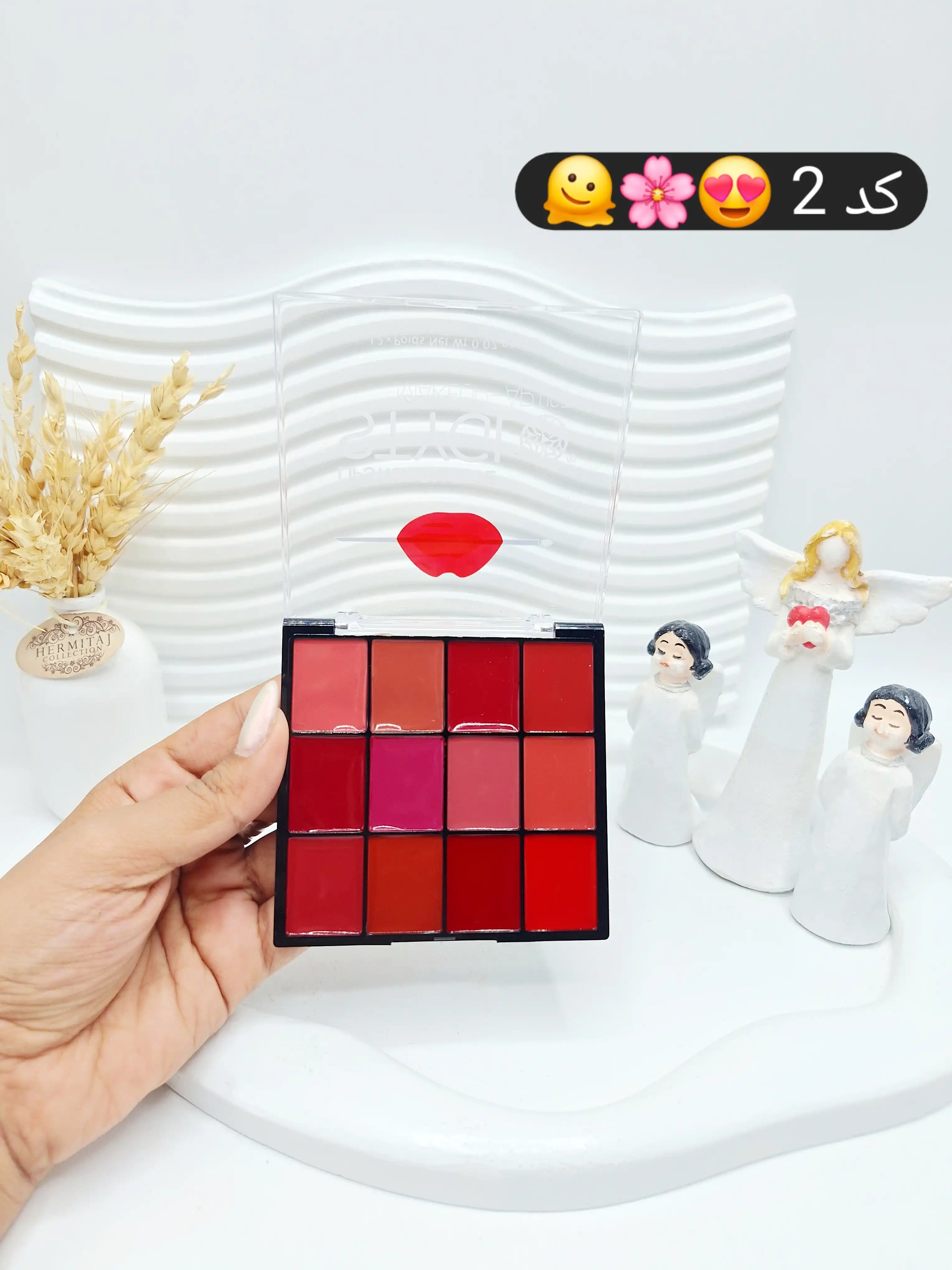 پالت رژ لب 12 تایی خوش رنگ برند STYGLO کد 1302